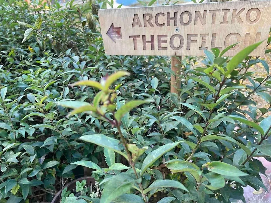 Archontiko Theofilou #2 With Private Parking Space Apartment Thessaloniki